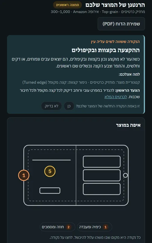 דוח לדוגמה: פסק הדין והרנטגן של מחזיק כרטיסים